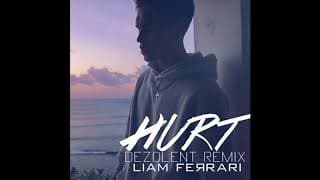 Liam Ferrari - Hurt (Dezolent Remix)